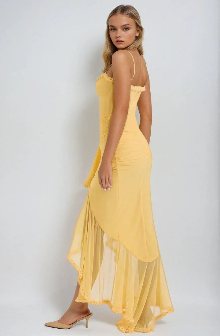 Bianca | Mesh Overlay Maxi Dress